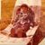 Rebecca Sangiacomo's profile image