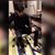 Mohammad Umer Qureshi's profile image