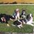 Linda Swan's profile image