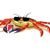 Rube's Crab Shack's profile image