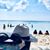 Helen Brazeau's profile image