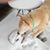 Suzanne Tatum Dittfurth's profile image