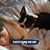 Tara Boyle Kennedy's profile image