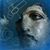 Campo Di Fiori Rose's profile image