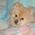 Leta Patton-Hirsch's profile image
