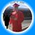 Charlene Strasinger Payne's profile image