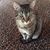Marlana Momster Isaac's profile image