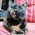 Teresa Fetter's profile image