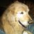 Lori Broxson's profile image