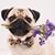Carmina Carrillo's profile image