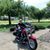 Bruce Kowalsky's profile image
