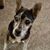 Harold J Cagle's profile image