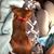 Kayleigh Barnard's profile image