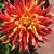 LindaMarie Chavez-Birmingham's profile image