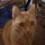 Donna L Barber's profile image