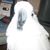 Carolyn Taylor's profile image