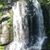 Carolyn Bowers Garner's profile image