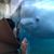 Alison Chamberland's profile image