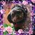Jennifer Garland's profile image