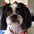 Sandy Medders Campbell's profile image