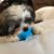 Sheila Vann Byrd's profile image