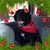 Christine Alicia Gould's profile image