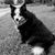Kerry Zimmer DeMars's profile image
