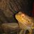 John Barnhart's profile image