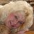 Debra Higgins's profile image