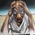Steven William Pickett's profile image