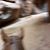 Carolyn Lenzie's profile image