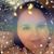 Rachel A. Hafler's profile image