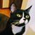 Carol Busenbark's profile image