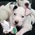 Carol A Oates Blank's profile image