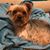 Julie Skenzich's profile image