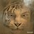 Rodrigo Chavez Gamino's profile image