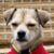 Mike Lopina's profile image