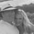 Amy Lynn Wagner Grape's profile image