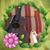 Dawn Chapman's profile image