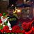 Deborah Cameron's profile image