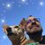 Dean Sandoval's profile image