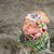 Stephanie Lynn Mouat's profile image