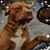 Pamela James's profile image