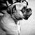 Corona Sanchez's profile image