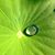 Andrea Brailsford's profile image