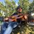 Ernesto Vargas's profile image