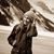 Traci Olson's profile image