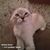 Lyndsey Tarvin's profile image