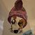 Scott Shanaberger's profile image