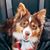 Lisa Watson Casay's profile image